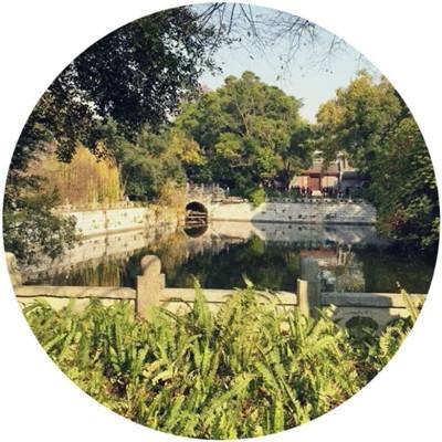 武林盛典九游版游戏下载